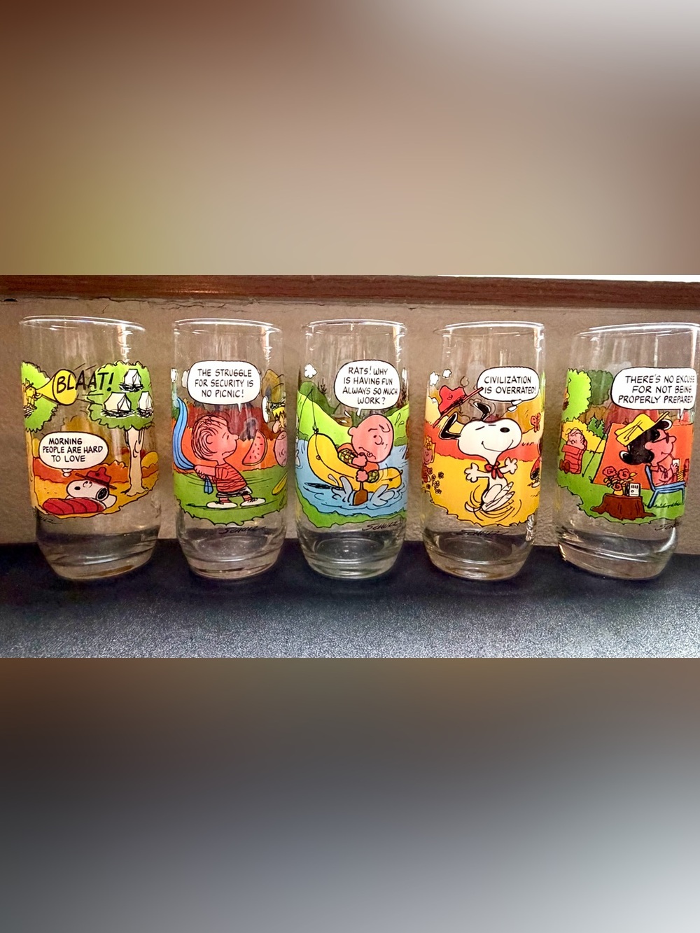Set of 5 Vintage Camp Snoopy Glasses Peanuts Tumblers United Feature Syndicate